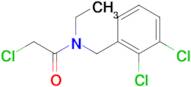 2-Chloro-N-(2,3-dichloro-benzyl)-N-ethyl-acetamide