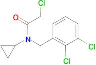 2-Chloro-N-cyclopropyl-N-(2,3-dichloro-benzyl)-acetamide