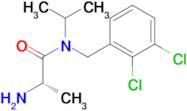 (S)-2-Amino-N-(2,3-dichloro-benzyl)-N-isopropyl-propionamide