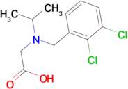 [(2,3-Dichloro-benzyl)-isopropyl-amino]-acetic acid