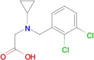 [Cyclopropyl-(2,3-dichloro-benzyl)-amino]-acetic acid