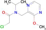 2-Chloro-N-isopropyl-N-(3-methoxy-pyrazin-2-ylmethyl)-acetamide
