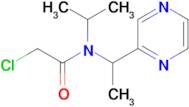 2-Chloro-N-isopropyl-N-(1-pyrazin-2-yl-ethyl)-acetamide