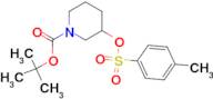 3-(Toluene-4-sulfonyloxy)-piperidine-1-carboxylic acid tert-butyl ester