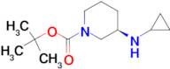 (R)-3-Cyclopropylamino-piperidine-1-carboxylic acid tert-butyl ester