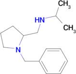 (1-Benzyl-pyrrolidin-2-ylmethyl)-isopropyl-amine