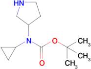 Cyclopropyl-pyrrolidin-3-yl-carbamic acid tert-butyl ester