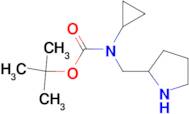 Cyclopropyl-pyrrolidin-2-ylmethyl-carbamic acid tert-butyl ester