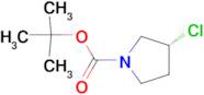 (R)-3-Chloro-pyrrolidine-1-carboxylic acid tert-butyl ester