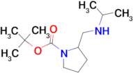 2-(Isopropylamino-methyl)-pyrrolidine-1-carboxylic acid tert-butyl ester