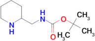 Piperidin-2-ylmethyl-carbamic acid tert-butyl ester