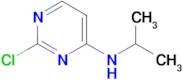 (2-Chloro-pyrimidin-4-yl)-isopropyl-amine