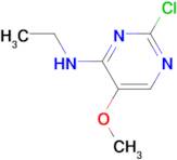 (2-Chloro-5-methoxy-pyrimidin-4-yl)-ethyl-amine