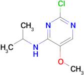 (2-Chloro-5-methoxy-pyrimidin-4-yl)-isopropyl-amine