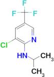 (3-Chloro-5-trifluoromethyl-pyridin-2-yl)-isopropyl-amine