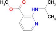 2-Isopropylamino-nicotinic acid methyl ester