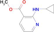 2-Cyclopropylamino-nicotinic acid methyl ester
