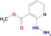 2-Hydrazino-nicotinic acid methyl ester