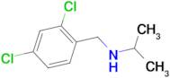 (2,4-Dichloro-benzyl)-isopropyl-amine