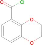 2,3-Dihydro-benzo[1,4]dioxine-5-carbonyl chloride