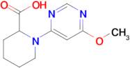 1-(6-Methoxy-pyrimidin-4-yl)-piperidine-2-carboxylic acid