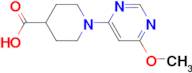 1-(6-Methoxy-pyrimidin-4-yl)-piperidine-4-carboxylic acid