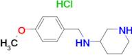 (4-Methoxy-benzyl)-piperidin-3-yl-amine hydrochloride