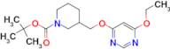 3-(6-Ethoxy-pyrimidin-4-yloxymethyl)-piperidine-1-carboxylic acid tert-butyl ester