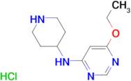 (6-Ethoxy-pyrimidin-4-yl)-piperidin-4-yl-amine hydrochloride