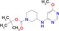 3-(6-Methoxy-pyrimidin-4-ylamino)-piperidine-1-carboxylic acid tert-butyl ester