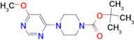 4-(6-Methoxy-pyrimidin-4-yl)-piperazine-1-carboxylic acid tert-butyl ester
