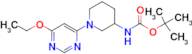 [1-(6-Ethoxy-pyrimidin-4-yl)-piperidin-3-yl]-carbamic acid tert-butyl ester