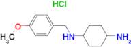 N-(4-Methoxy-benzyl)-cyclohexane-1,4-diamine hydrochloride