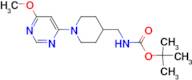 [1-(6-Methoxy-pyrimidin-4-yl)-piperidin-4-ylmethyl]-carbamic acid tert-butyl ester