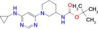 [1-(6-Cyclopropylamino-pyrimidin-4-yl)-piperidin-3-yl]-carbamic acid tert-butyl ester