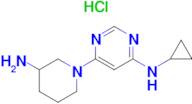 [6-(3-Amino-piperidin-1-yl)-pyrimidin-4-yl]-cyclopropyl-amine hydrochloride