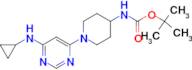 [1-(6-Cyclopropylamino-pyrimidin-4-yl)-piperidin-4-yl]-carbamic acid tert-butyl ester