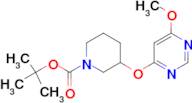 3-(6-Methoxy-pyrimidin-4-yloxy)-piperidine-1-carboxylic acid tert-butyl ester