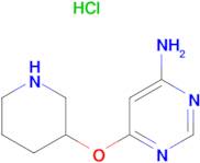 6-(Piperidin-3-yloxy)-pyrimidin-4-ylamine hydrochloride