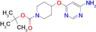 4-(6-Amino-pyrimidin-4-yloxy)-piperidine-1-carboxylic acid tert-butyl ester