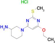 1-(6-Ethoxy-2-methylsulfanyl-pyrimidin-4-yl)-piperidin-3-ylamine hydrochloride