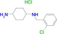 N-(2-Chloro-benzyl)-cyclohexane-1,4-diamine hydrochloride