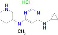 N-Cyclopropyl-N'-methyl-N'-piperidin-3-yl-pyrimidine-4,6-diamine hydrochloride