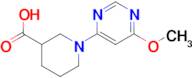 1-(6-Methoxy-pyrimidin-4-yl)-piperidine-3-carboxylic acid