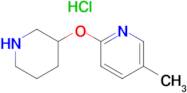 5-Methyl-2-(piperidin-3-yloxy)-pyridine hydrochloride