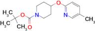 4-(5-Methyl-pyridin-2-yloxy)-piperidine-1-carboxylic acid tert-butyl ester