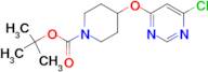 4-(6-Chloro-pyrimidin-4-yloxy)-piperidine-1-carboxylic acid tert-butyl ester