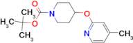 4-(4-Methyl-pyridin-2-yloxy)-piperidine-1-carboxylic acid tert-butyl ester