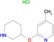 4-Methyl-2-(piperidin-3-yloxy)-pyridine hydrochloride