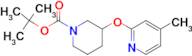 3-(4-Methyl-pyridin-2-yloxy)-piperidine-1-carboxylic acid tert-butyl ester